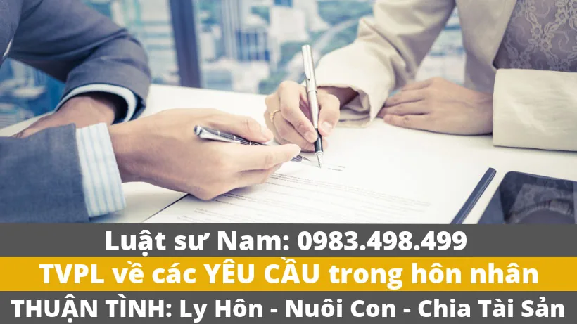 Luật sư đại diện một bên khi ly hôn: thuận tình ly hôn, nuôi con, chia tài sản
